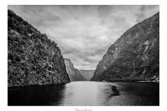 Naeroyfjord