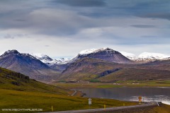 Island 2011