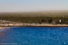 Island 2011