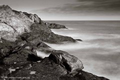 Island 2011
