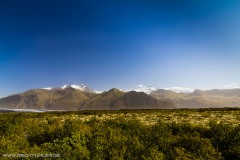 Island 2011