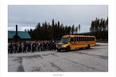 Shuttle Bus