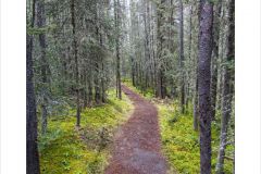 Sundance Canyon
