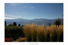 Okanagan Valley