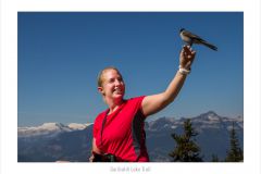 Garibaldi Lake Trail
