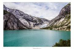 Nigardsbreen
