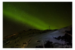 Lofoten