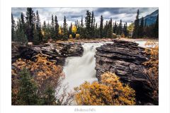 Athabasca Falls