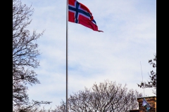 Oslo_IMG_9523